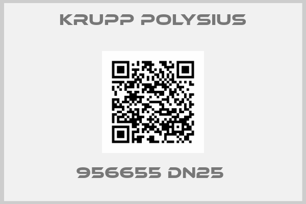 KRUPP Polysius-956655 DN25 