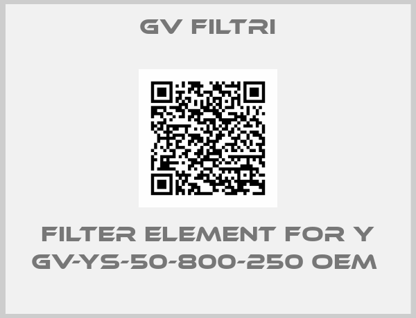GV Filtri-Filter element for Y GV-YS-50-800-250 oem 