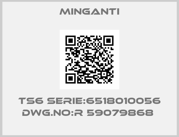 Minganti-TS6 SERIE:6518010056 DWG.NO:R 59079868 