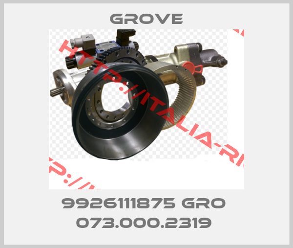 Grove-9926111875 GRO  073.000.2319 