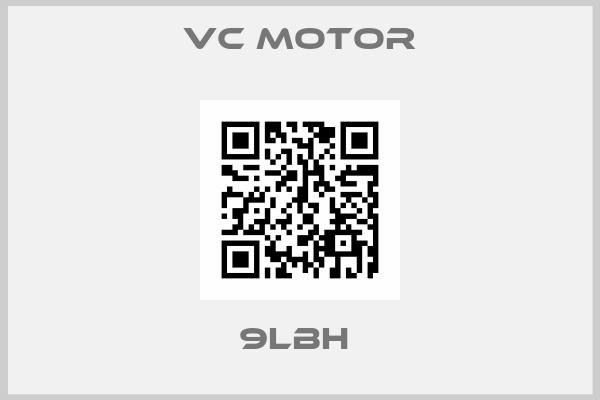 VC motor-9LBH 