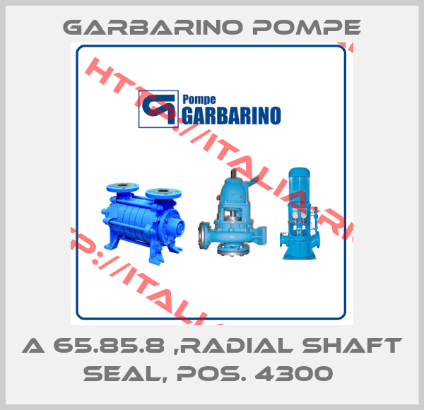 Garbarino Pompe-A 65.85.8 ,RADIAL SHAFT SEAL, POS. 4300 