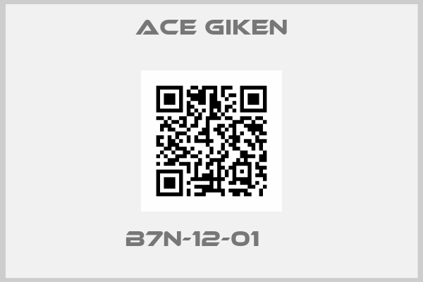 ACE GIKEN-B7N-12-01     