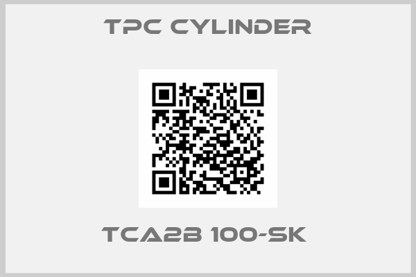 TPC CYLINDER-TCA2B 100-SK 