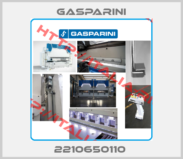 GASPARINI-2210650110 