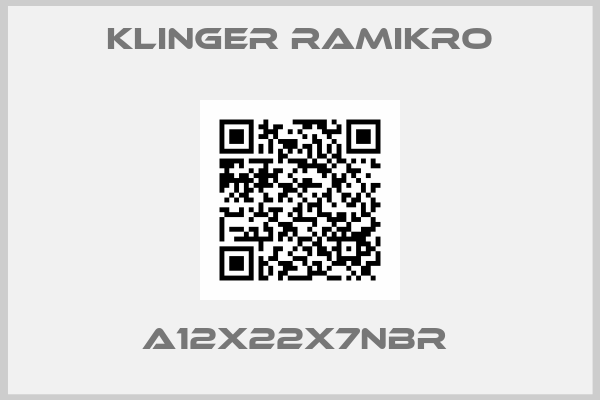 Klinger Ramikro-A12X22X7NBR 