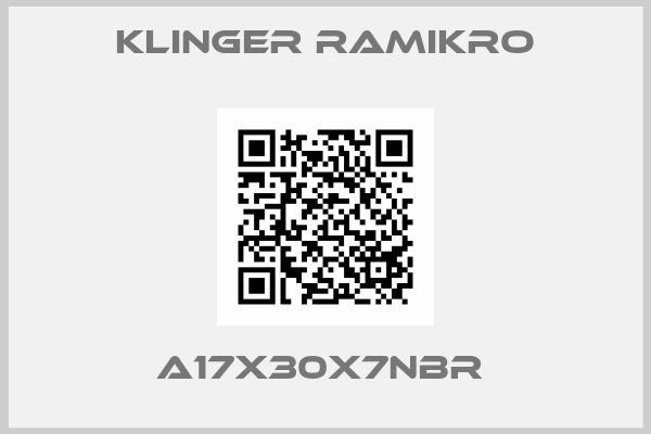 Klinger Ramikro-A17X30X7NBR 