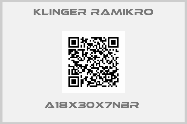 Klinger Ramikro-A18X30X7NBR 