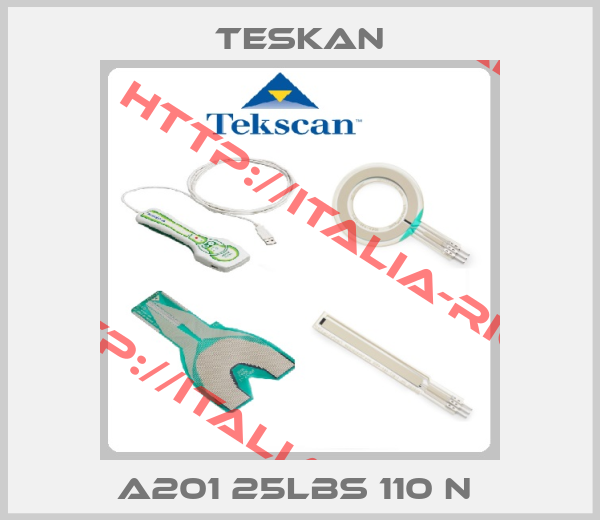 Teskan-A201 25LBS 110 N 