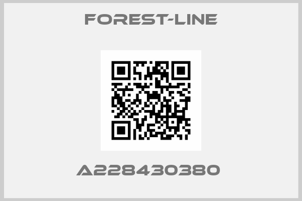 Forest-Line-A228430380 