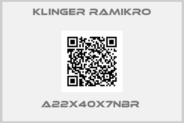 Klinger Ramikro-A22X40X7NBR 