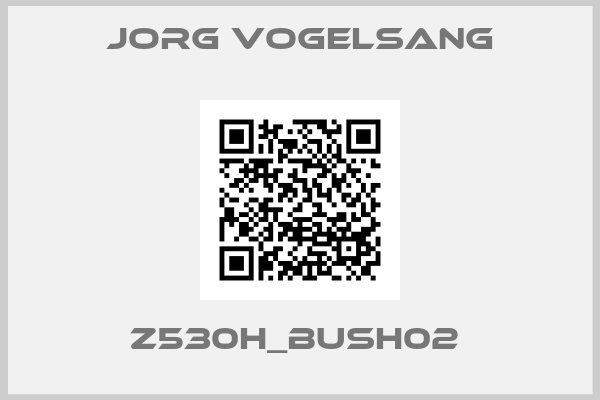 JORG VOGELSANG-Z530H_BUSH02 