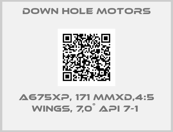 Down Hole Motors-A675XP, 171 MMXD,4:5 WINGS, 7,0˚ API 7-1 