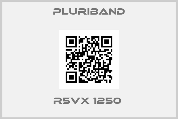 PLURIBAND-R5VX 1250 