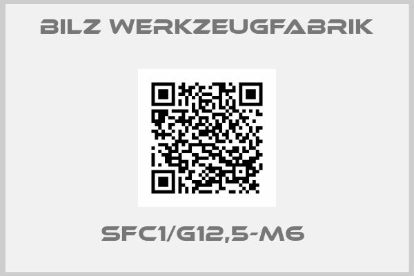 BILZ Werkzeugfabrik-SFC1/G12,5-M6 