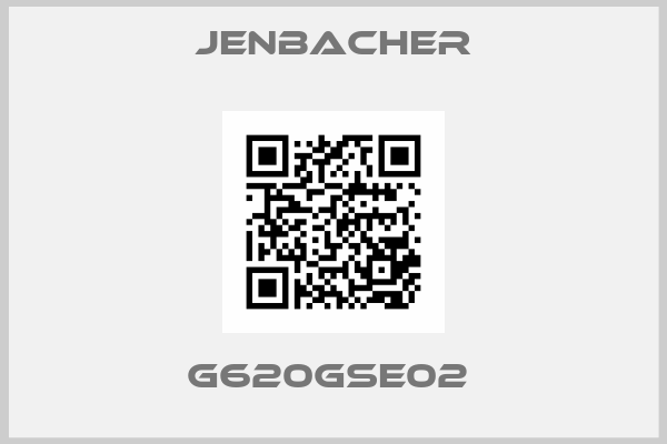 Jenbacher-G620GsE02 