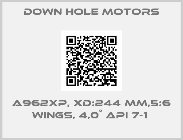 Down Hole Motors-A962XP, XD:244 MM,5:6 WINGS, 4,0˚ API 7-1 