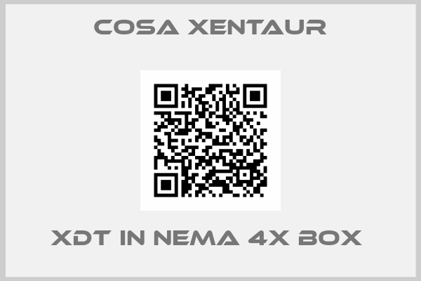 Cosa Xentaur-XDT in NEMA 4X BOX 