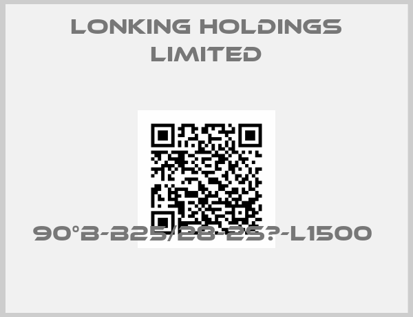 Lonking Holdings Limited-90°B-B25/28-2SⅡ-L1500 