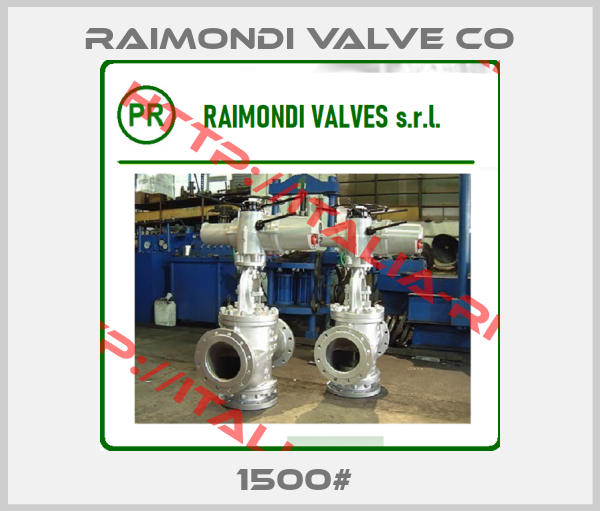 RAIMONDI VALVE CO-1500# 