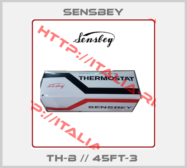 SENSBEY-TH-B // 45FT-3 