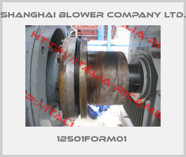 SHANGHAI BLOWER COMPANY LTD.-12501Form01 