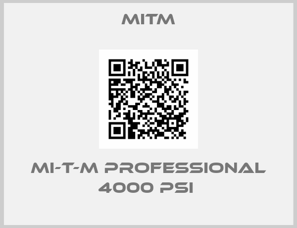 Mitm-Mi-T-M Professional 4000 PSI 