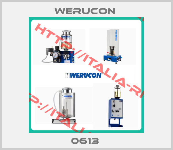 WERUCON -0613 