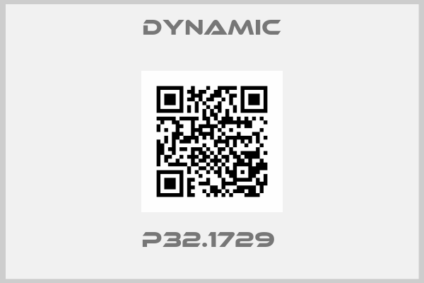 DYNAMIC-P32.1729 