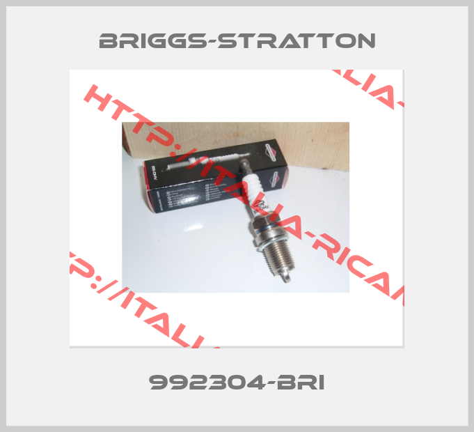 Briggs-Stratton-992304-BRI