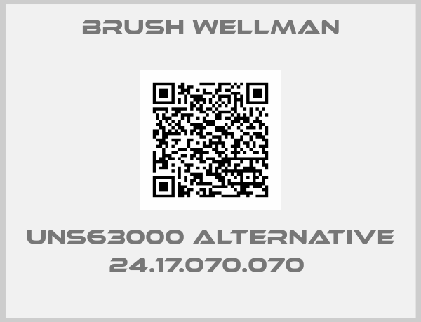 Brush Wellman-UNS63000 alternative 24.17.070.070 