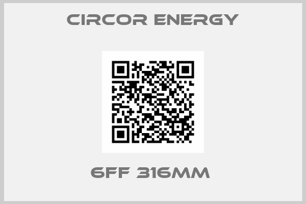 Circor Energy-6FF 316MM 