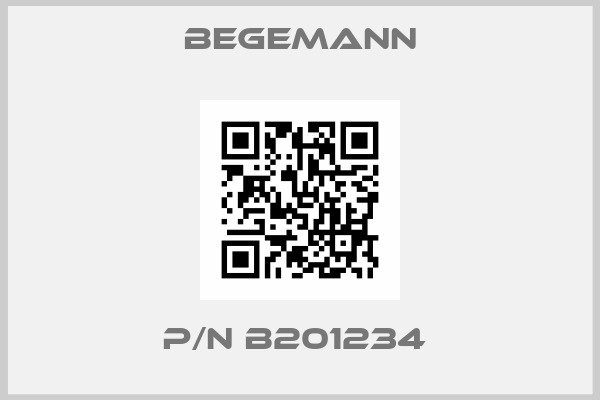BEGEMANN-P/N B201234 