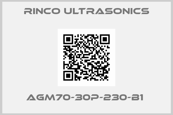 Rinco Ultrasonics-AGM70-30P-230-B1 