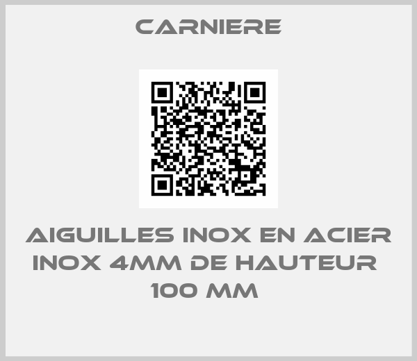 Carniere-AIGUILLES INOX EN ACIER INOX 4MM DE HAUTEUR  100 MM 