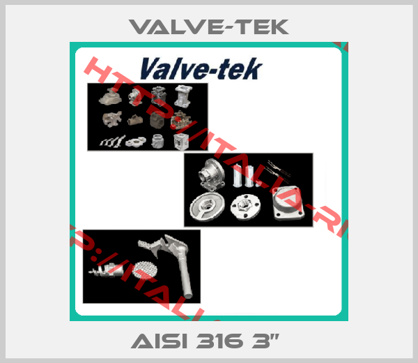 Valve-tek-AISI 316 3” 