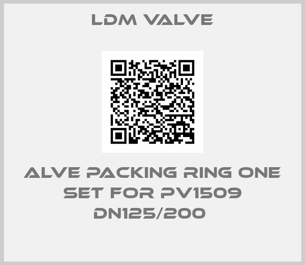 LDM Valve-ALVE PACKING RING ONE SET FOR PV1509 DN125/200 