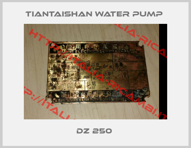 Tiantaishan water pump -DZ 250 