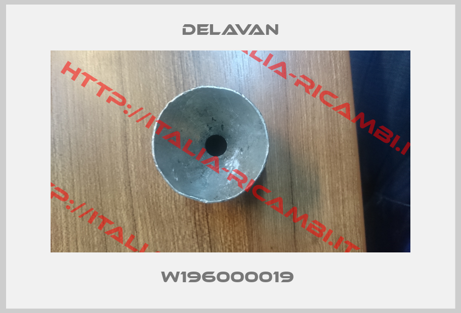 Delavan-W196000019 