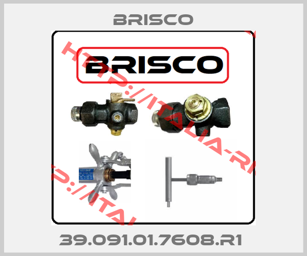 BRISCO-39.091.01.7608.R1 