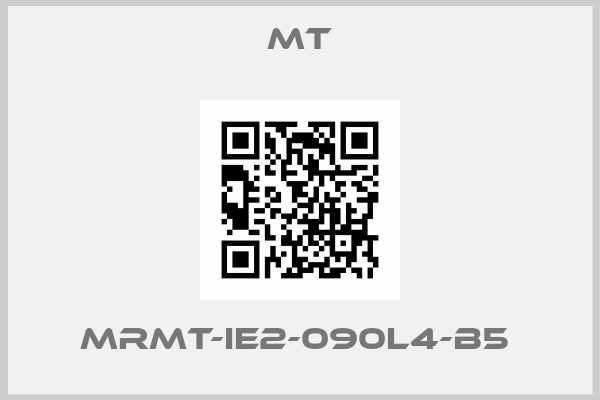 MT-MRMT-IE2-090L4-B5 