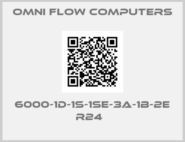 OMNI FLOW COMPUTERS-6000-1D-1S-1SE-3A-1B-2E R24  