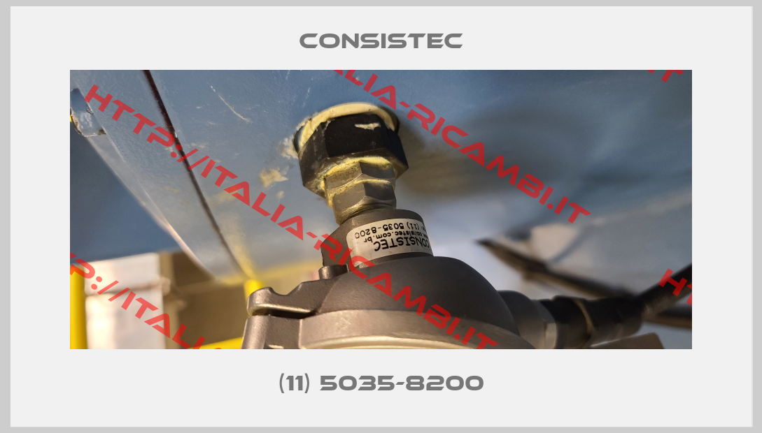 CONSISTEC-(11) 5035-8200