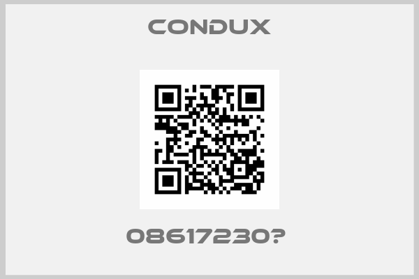 CONDUX-08617230	 