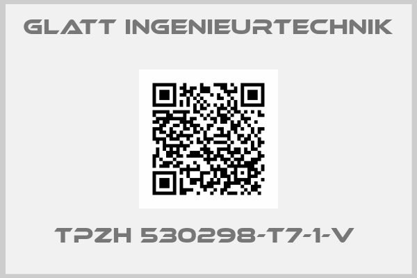 Glatt Ingenieurtechnik-TPZH 530298-T7-1-V 