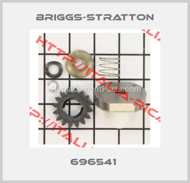 Briggs-Stratton-696541 