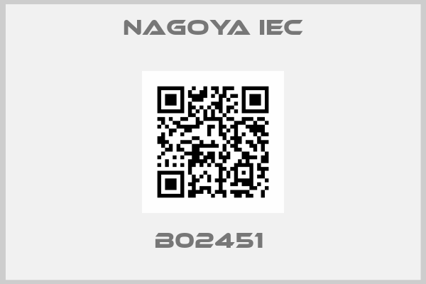 Nagoya Iec-B02451 