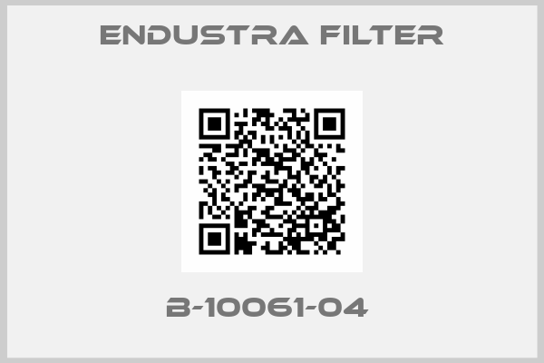 Endustra Filter-B-10061-04 