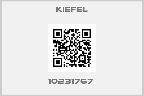 Kiefel-10231767 