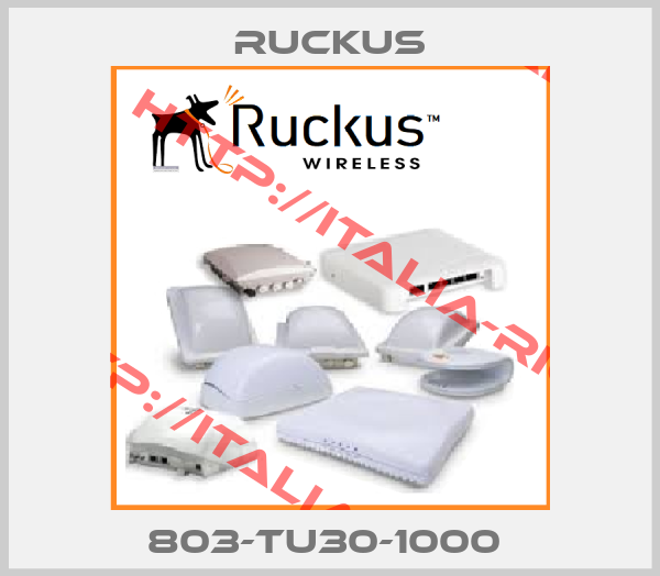 Ruckus-803-TU30-1000 